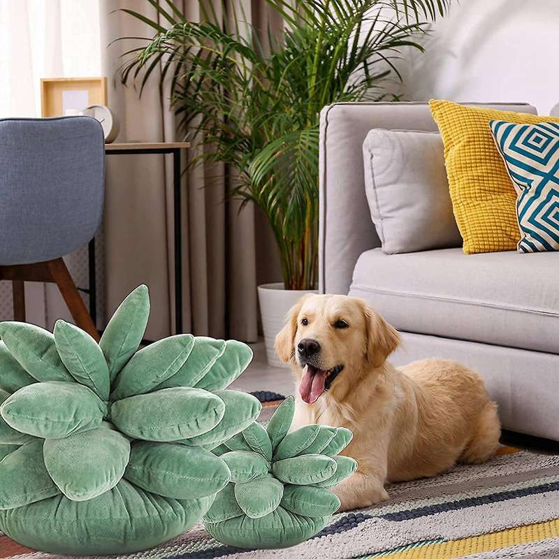 Succulent Pillow Succulents Cactus Pillow Cute Succulents for Garden Or Green Lovers Or Bedroom Roo
