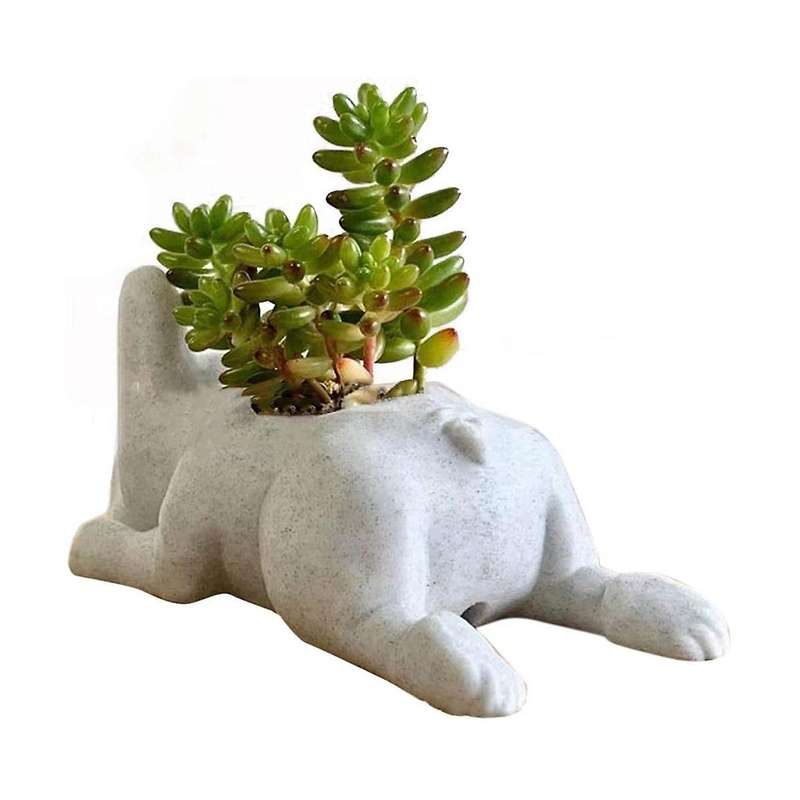 Succulent Planter,bulldog Shape Cute Bonsai Flower Pots Garden Office Desktop Decor (no Plants)