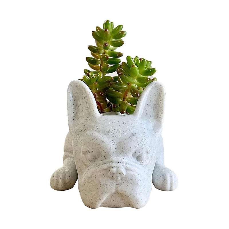 Succulent Planter,bulldog Shape Cute Bonsai Flower Pots Garden Office Desktop Decor (no Plants)