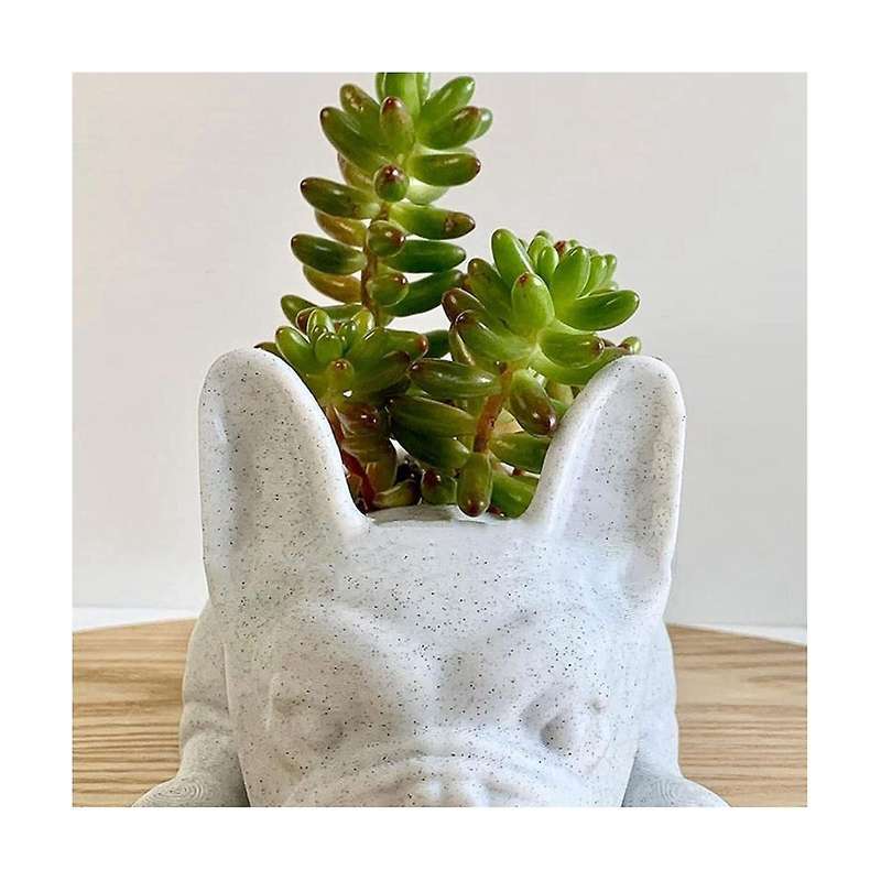 Succulent Planter,bulldog Shape Cute Bonsai Flower Pots Garden Office Desktop Decor (no Plants)