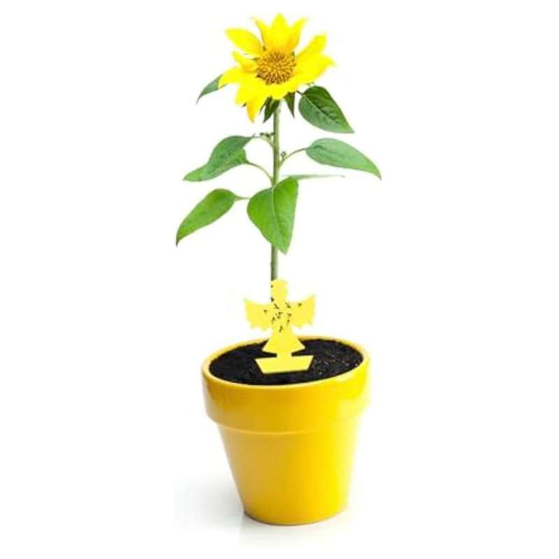 Thick Semi Insect Sticky Fungu Gnats Sticky Yellow Insect Sticky Trap Yellow Sticky Mosquito Trap Pl