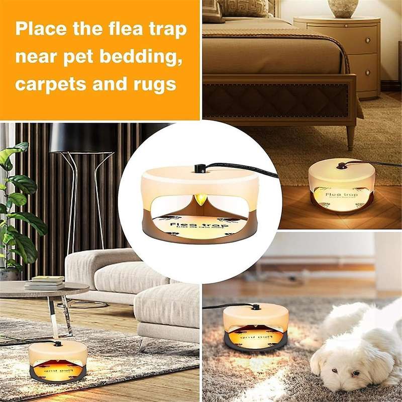 Trap for Indoors Trap with Light Refill and Trap for Home Sticky Trap Us Plug