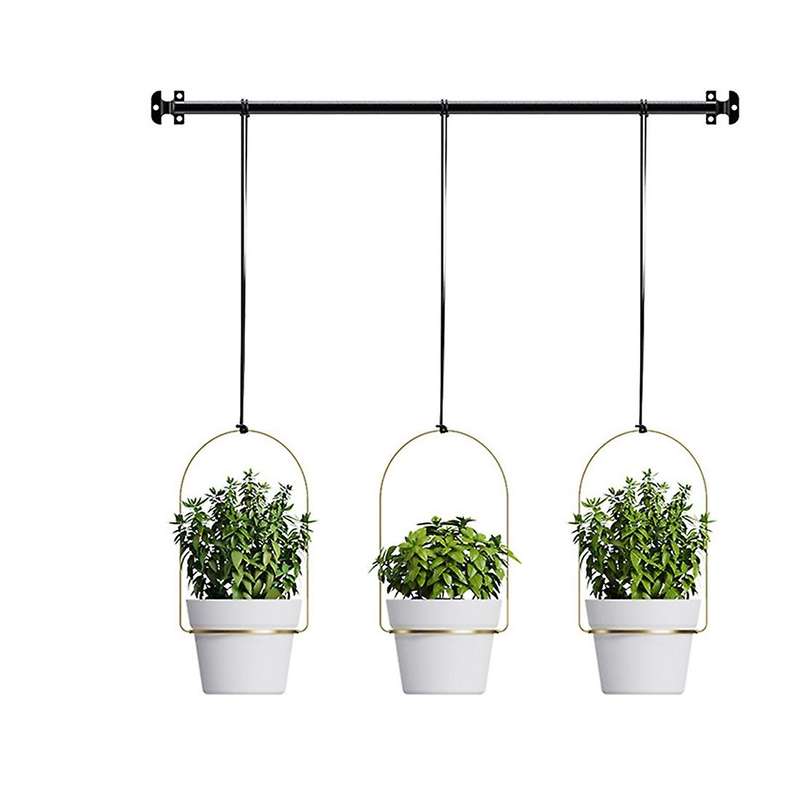 Triflora Hanging Planters for Indoor Plants or Herbs, Black+Gold