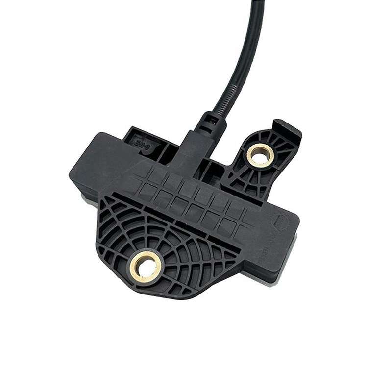 Truck Throttle Position Sensor for Truck 23417546 7421695307 20710519 21695307