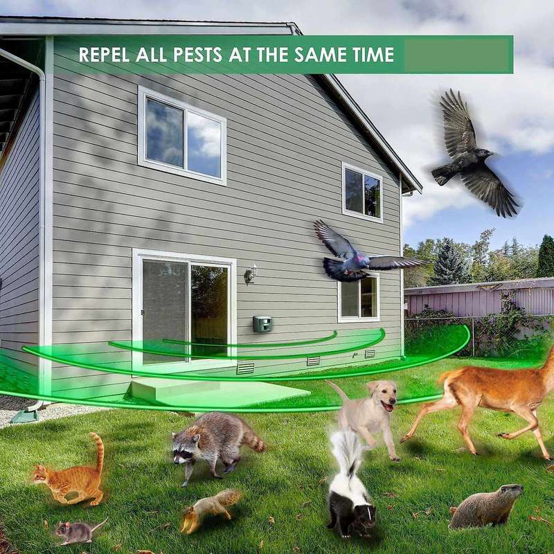 Ultrasonic Outdoor Animal Drive Strobe Led Light Repeller Drive Device with Remote Control for Deer,