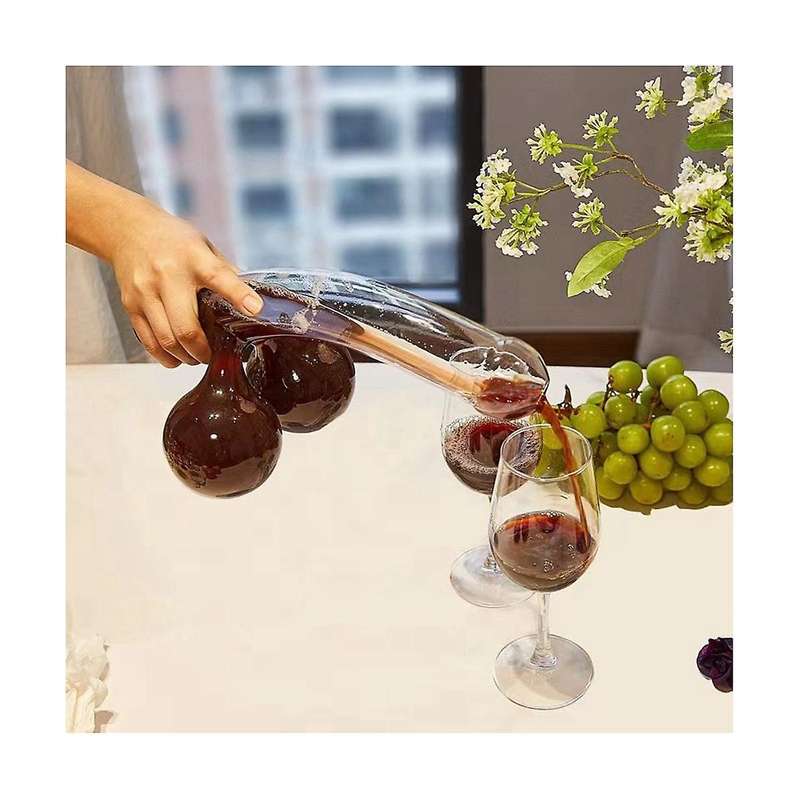 Unique Glass Decanter for Wine and Spirits - Perfect Gift for Wine Lovers Bar Tools Interesting Deca