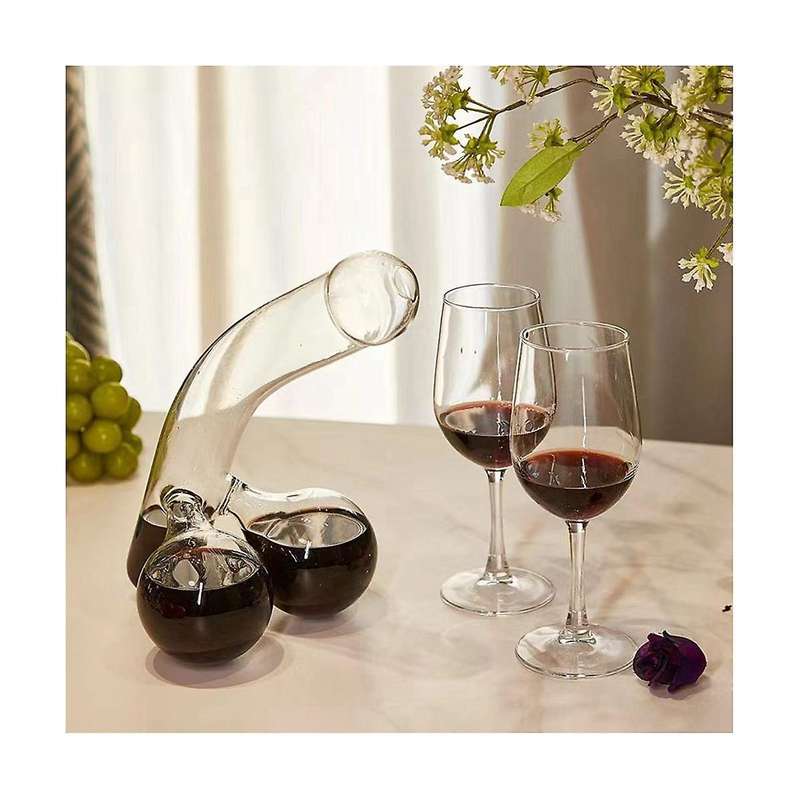 Unique Glass Decanter for Wine and Spirits - Perfect Gift for Wine Lovers Bar Tools Interesting Deca