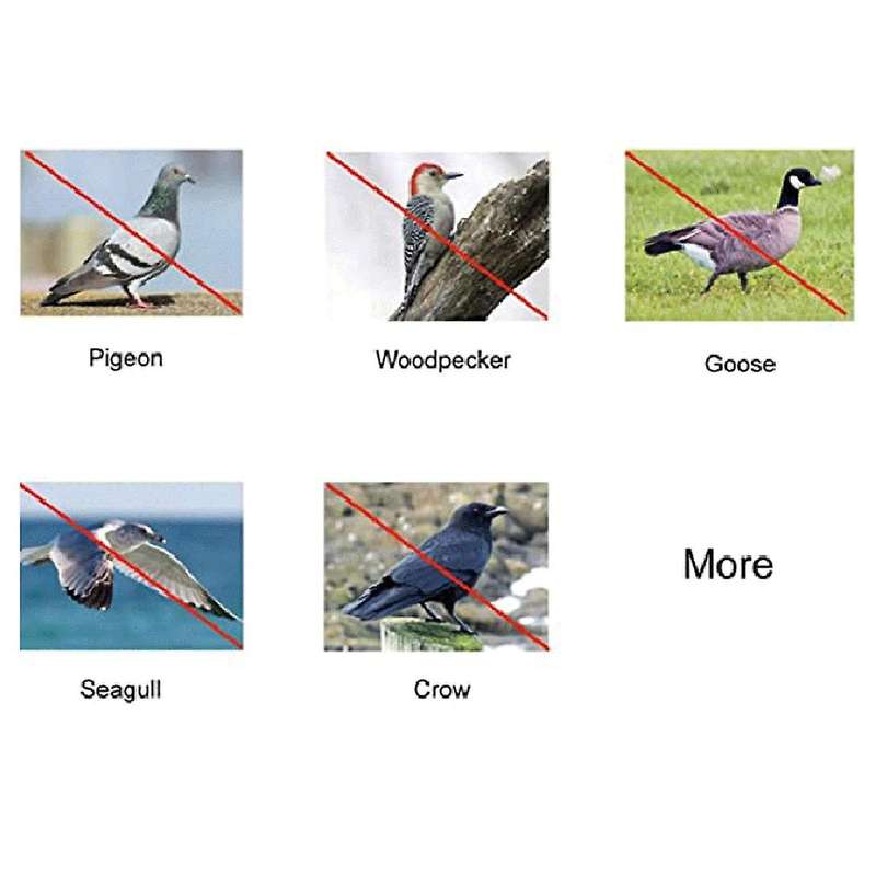 Upgraded Mirror Reflective Bird Repellent Upgraded Bird Scare Discs Set Highly Reflective Double-Sid