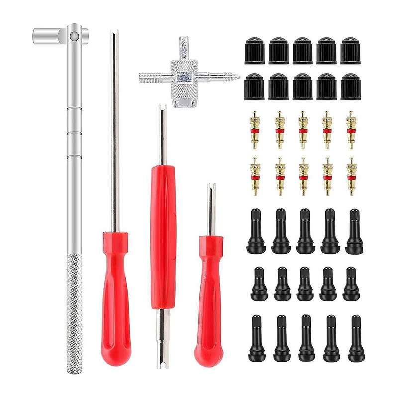 Valve Stem Puller Installer Tool, Single Head Tire Valve Core Remover Installer Tool(40pcs)