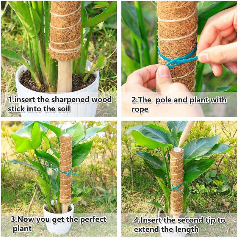 6pcs 16inch Plant Poles for Indoor Plants to Grow, with 12pcs Ties
