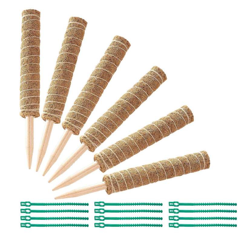 6pcs 16inch Plant Poles for Indoor Plants to Grow, with 12pcs Ties