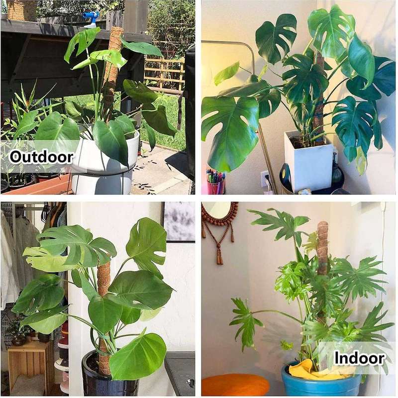 6pcs 16inch Plant Poles for Indoor Plants to Grow, with 12pcs Ties