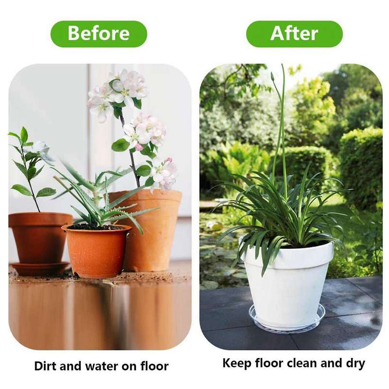 Plant Saucers, 20 Pack Of 30cm (12 Inch), Transparent Flower Pot Drip