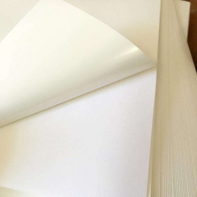 50 Sheet Sticker Paper for Inkjet Printer White A4 8.5 Inch X 11 Inch