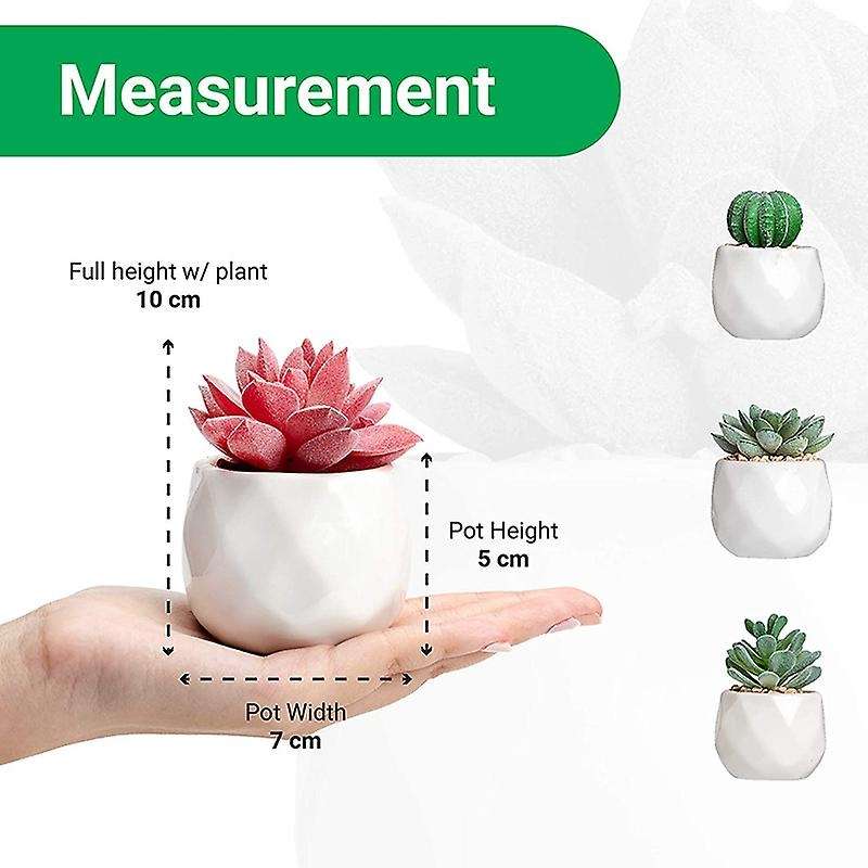 Mini Succulents Artificial Succulents Plants Artificial Mini