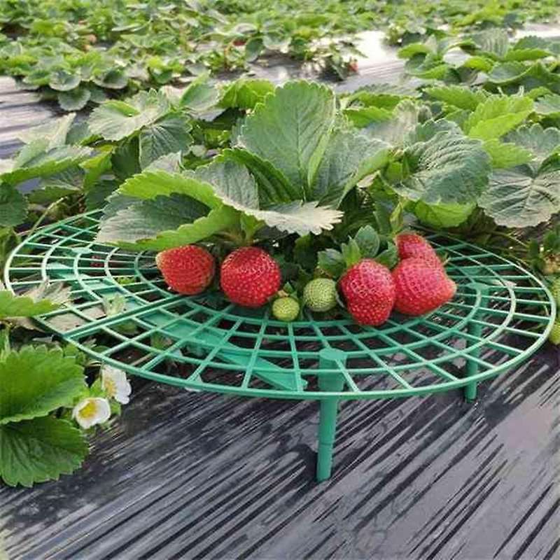 15 Pcs Strawberry Stand Holder Balcony Planting Rack Gardening Stand