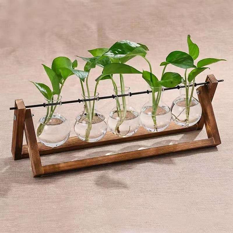 Plant Glass Planter with Wooden Stand,for Hydroponics Plants Decor