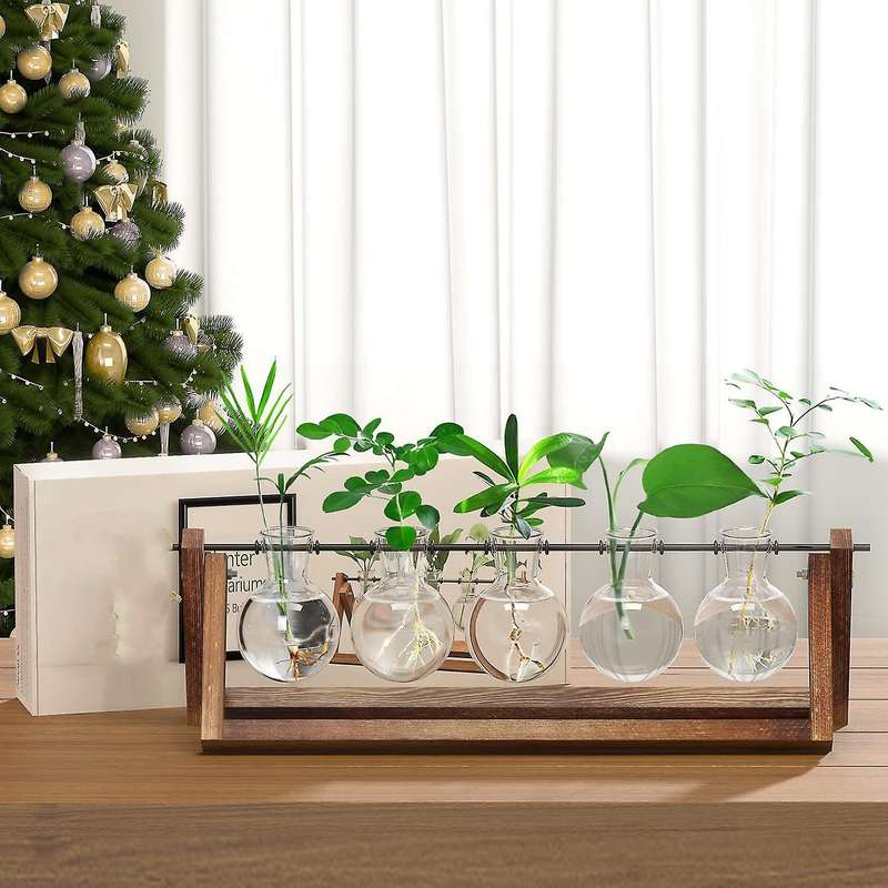 Plant Glass Planter with Wooden Stand,for Hydroponics Plants Decor