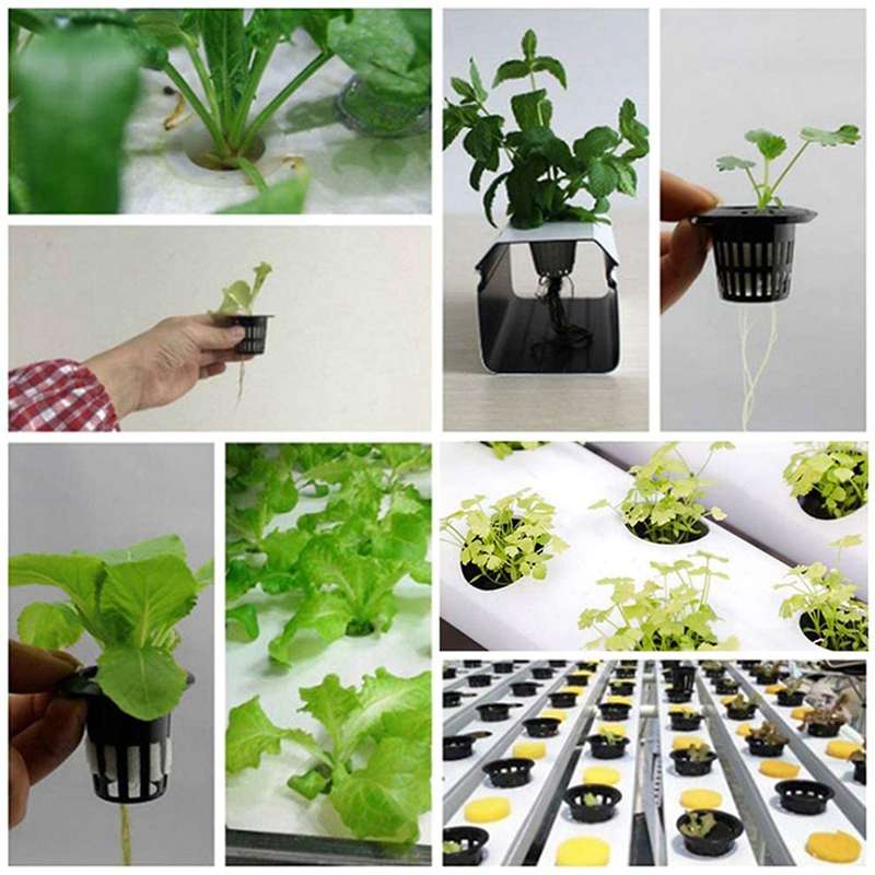 50 Pcs Plant Net Pots, Reusable Plastic Cups, for Hydroponic