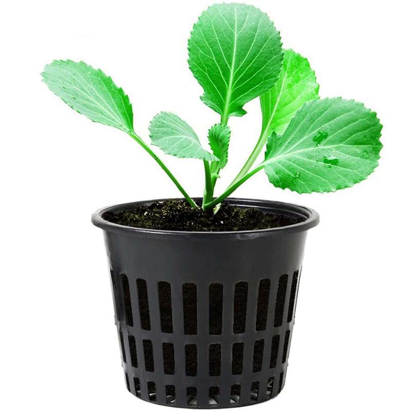 50 Pcs Plant Net Pots, Reusable Plastic Cups, for Hydroponic