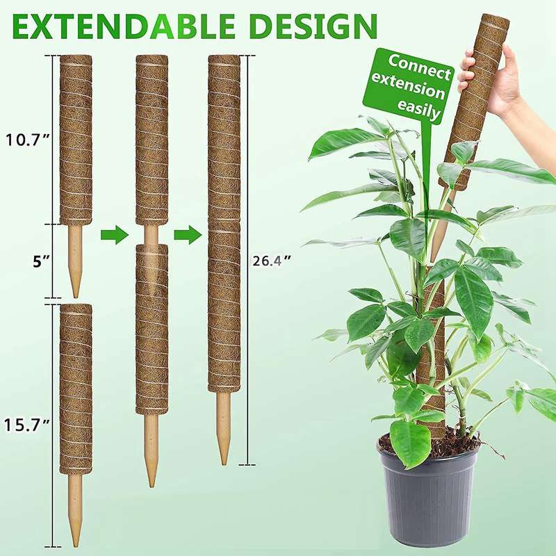 4 Pcs Moss Poles for Climbing Plants,moss Stick for Indoor Plants