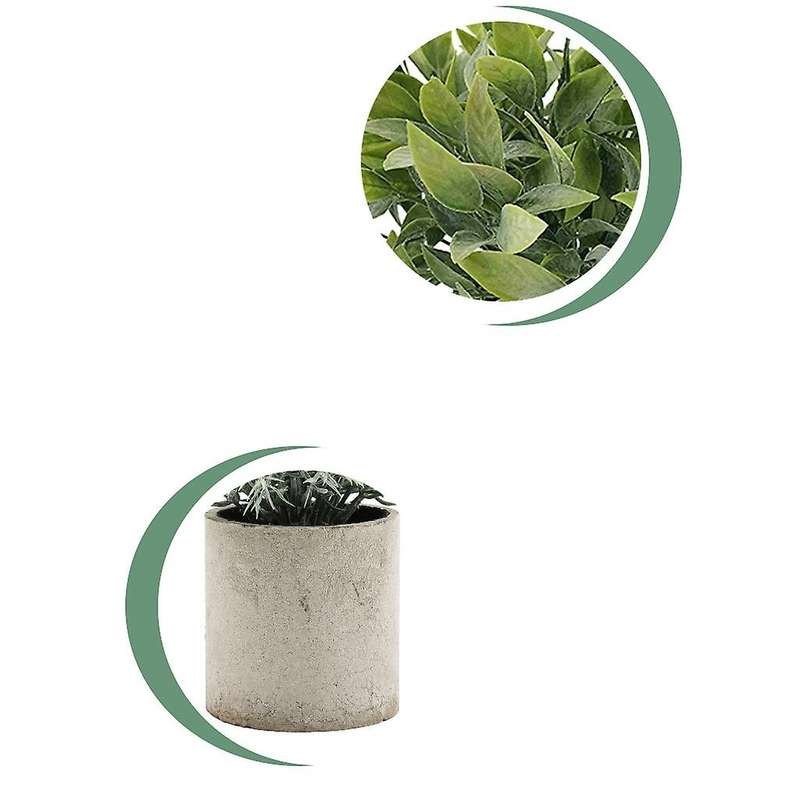 3 Pack Mini Artificial Potted Plants Faux Eucalyptus Plants Money