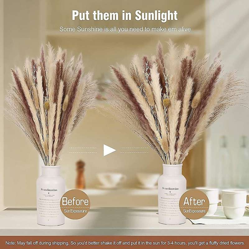 135pcs 17 Inch Pompous Grass Fluffy Stem Bouquet