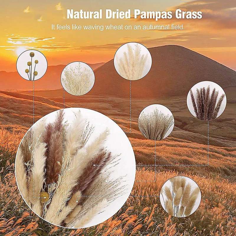 135pcs 17 Inch Pompous Grass Fluffy Stem Bouquet