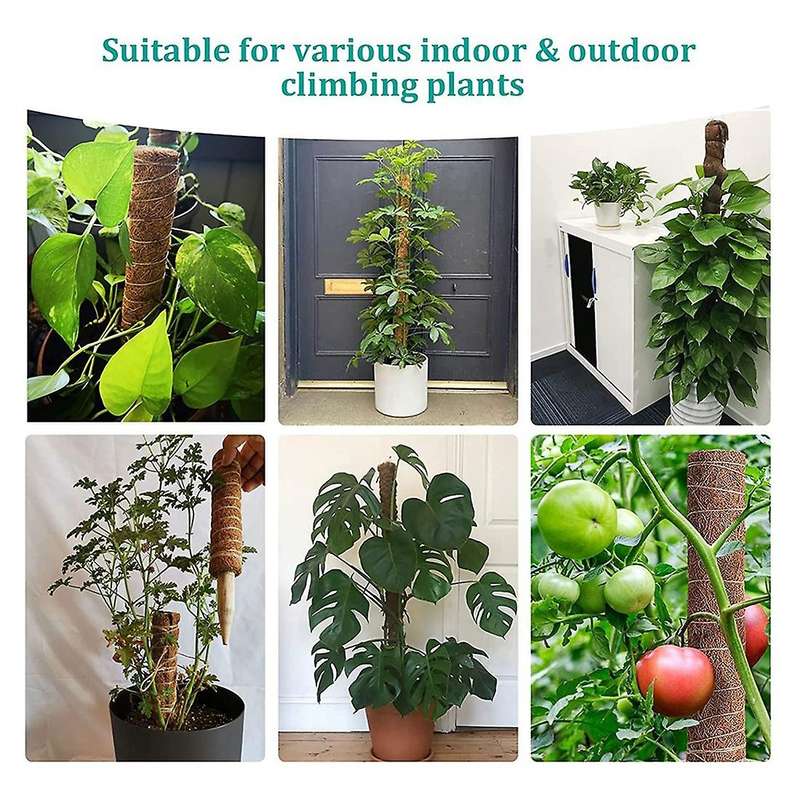 15.7 Inch Coir Moss Pole for Climbing Plants Monstera with Garden