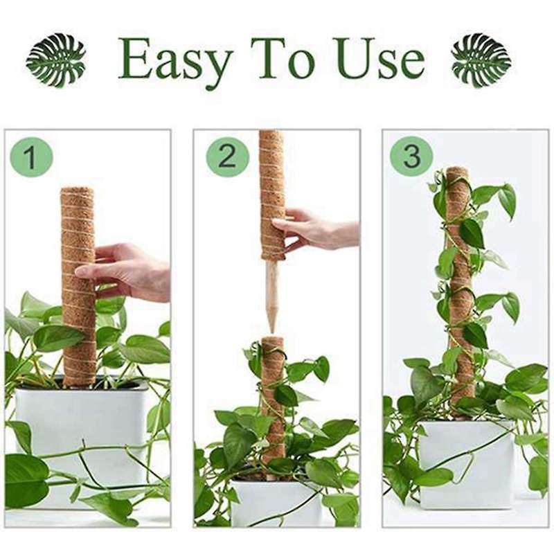 15.7 Inch Coir Moss Pole for Climbing Plants Monstera with Garden