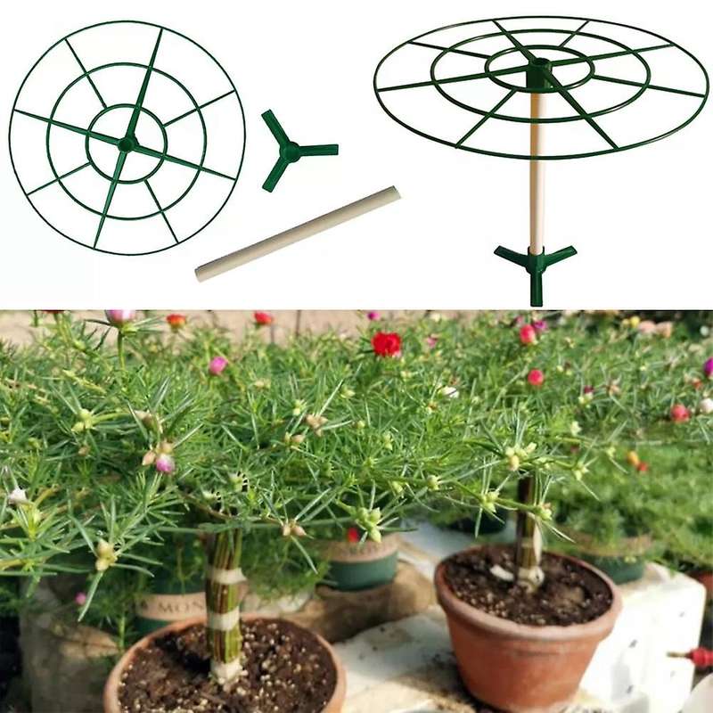 5pcs Round Plant Support Frame Vegetable Strawberry Stand Scalable