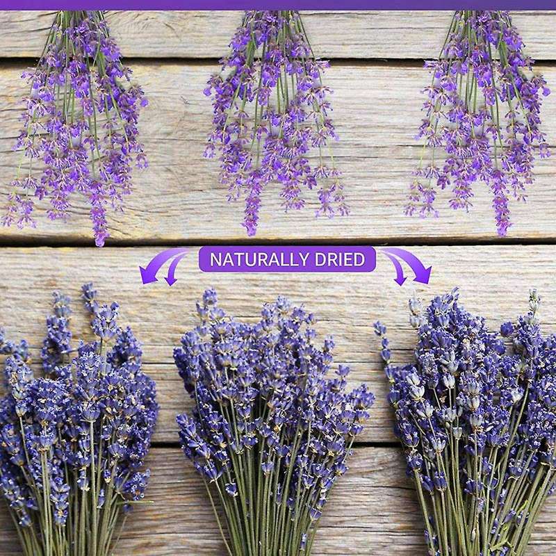 2 Bundles Dried Lavender Bundles Natural for Home Decoration