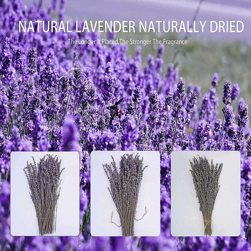 2 Bundles Dried Lavender Bundles, for Home Decor Flower Arrangements