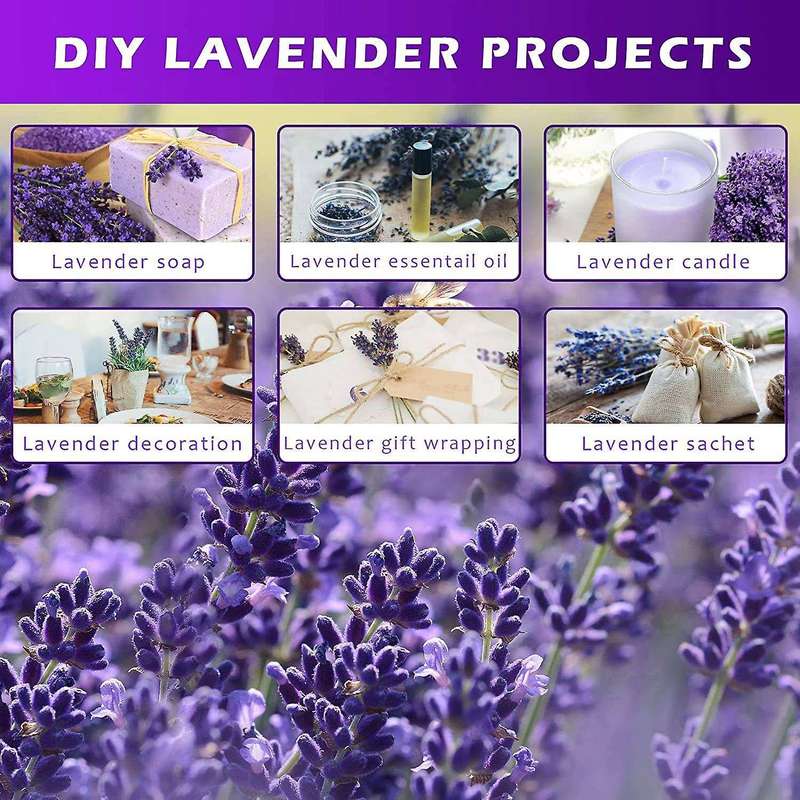 2 Bundles Dried Lavender Bundles, for Home Decor Flower Arrangements