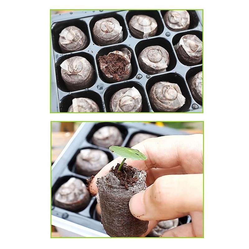 10pcs 12cells Seed Tray for Greenhouse Propagator Station Seeding,a