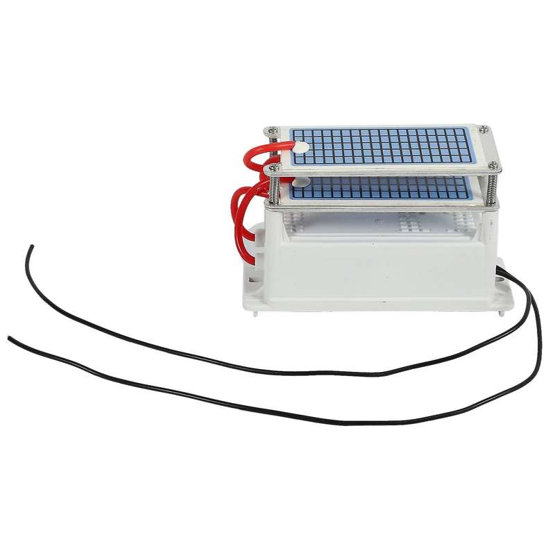 40g Ozone Generator 220v Ozonio Gerador Ceramic Plate Ozonator