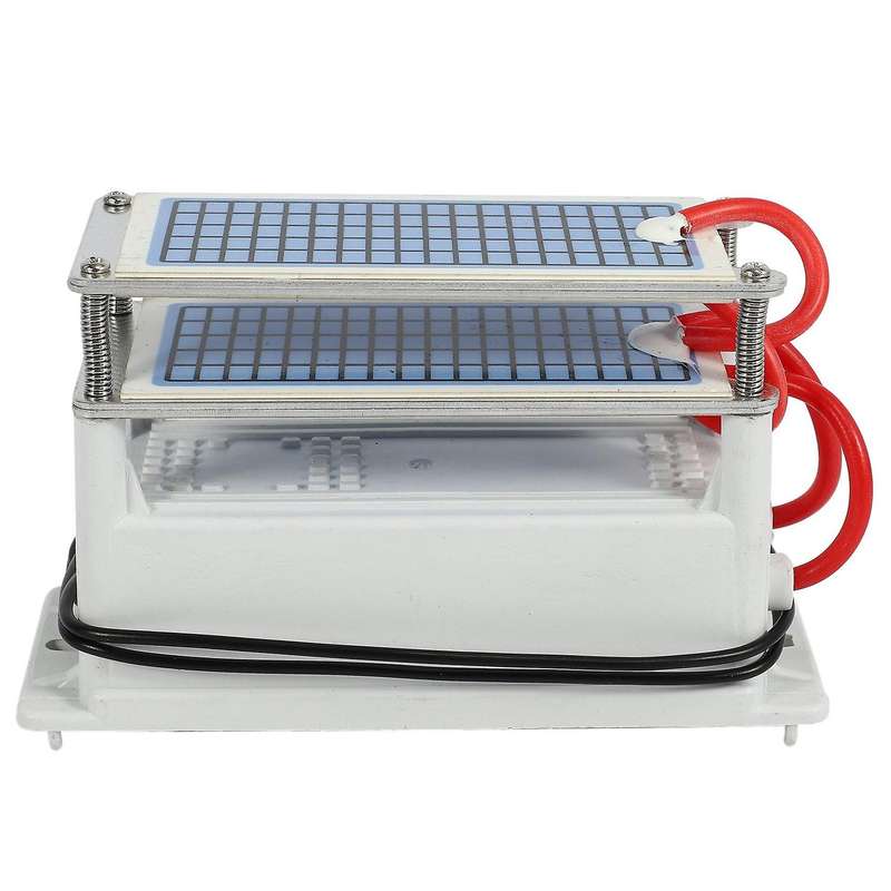 40g Ozone Generator 220v Ozonio Gerador Ceramic Plate Ozonator