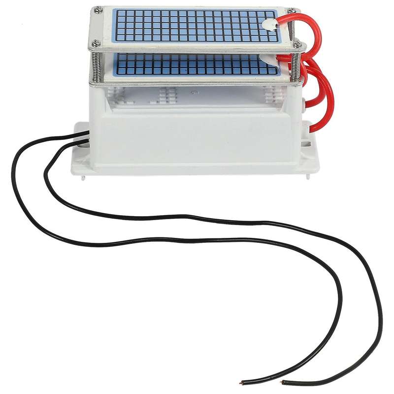 40g Ozone Generator 220v Ozonio Gerador Ceramic Plate Ozonator