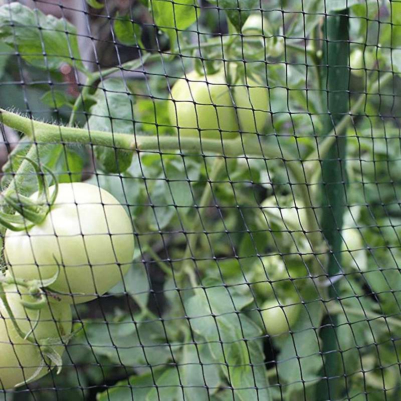 Bird Net 7x70ft Garden Netting for Bird Plants Trees Garden Net