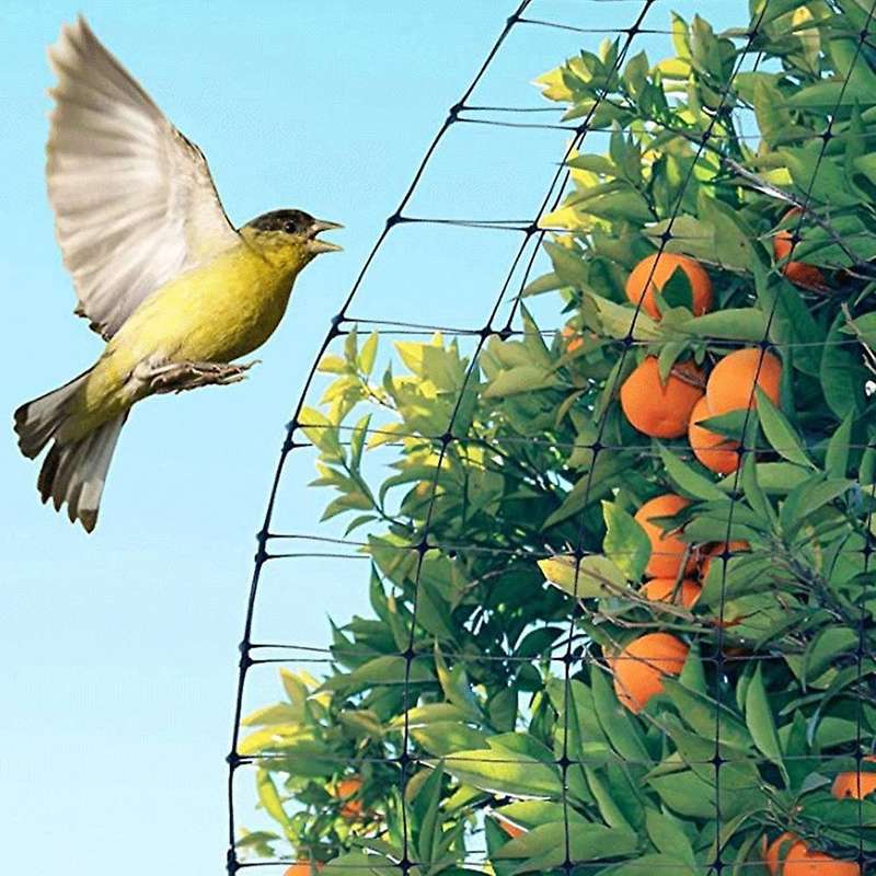 Bird Net 7x70ft Garden Netting for Bird Plants Trees Garden Net