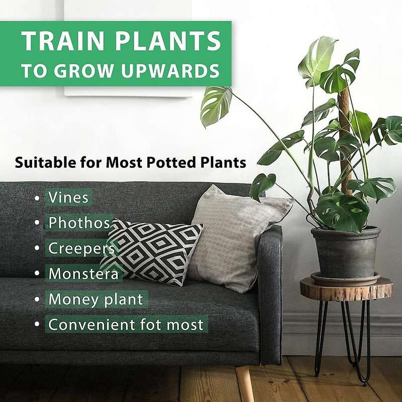 4 Pack 15.7 Inches Moss Pole for Plants Monstera, Climbing Indoor