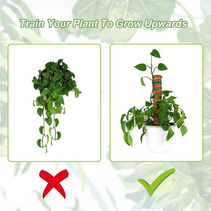 4pcs 16inch Potted Climbing Plants Pole for Potted Plants Growing
