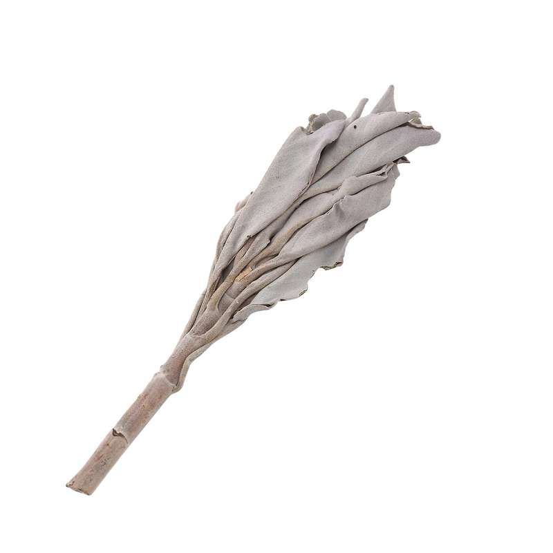 3 Bundles White Sage California White Sage Pure Leaf Smoky