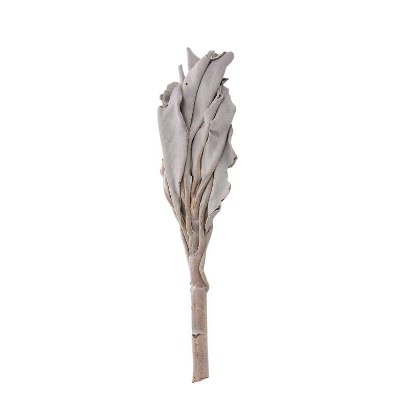 3 Bundles White Sage California White Sage Pure Leaf Smoky