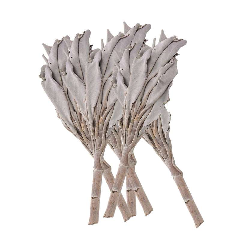 3 Bundles White Sage California White Sage Pure Leaf Smoky