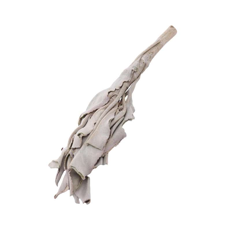 3 Bundles White Sage California White Sage Pure Leaf Smoky