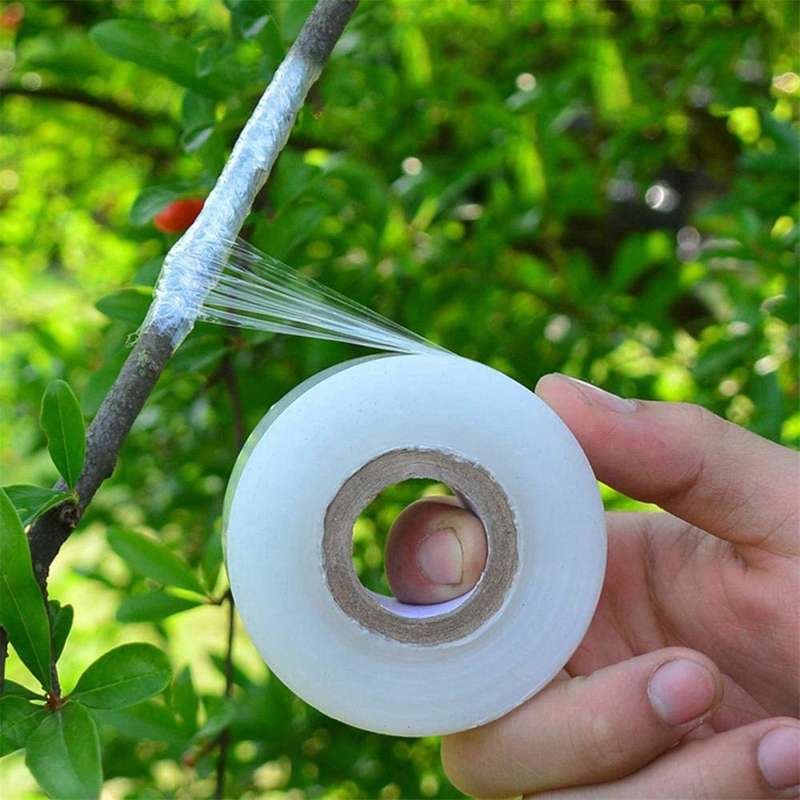 12 Roll Self-adhesive Nursery Garden Flower Vegetable Grafting Tapes