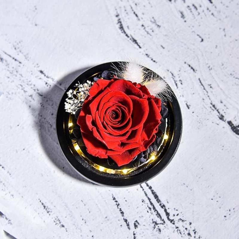 Natural Eternal Flowers Forever Preserved Rose In Glass Dome with Led