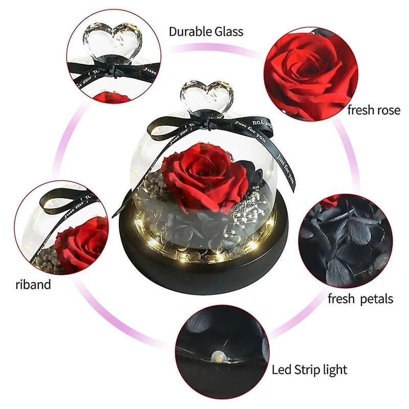 Natural Eternal Flowers Forever Preserved Rose In Glass Dome with Led