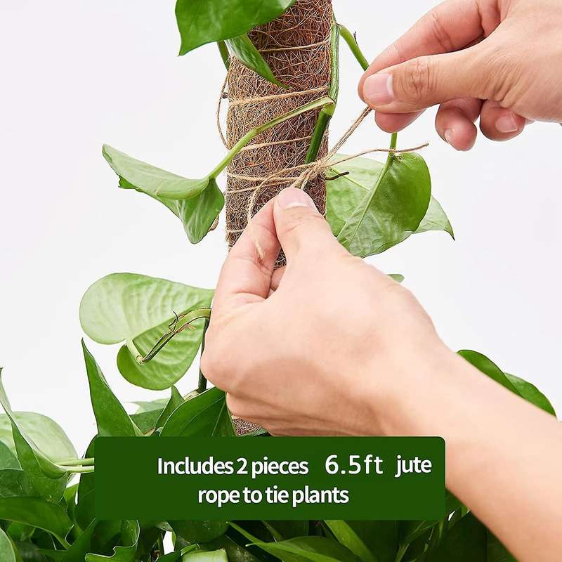 6pcs Moss Pole for Plants Monstera, Upwards,with Twist Ties&jute Rope